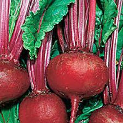 Beets, Detroit Dark Red, Heirloom, 25+ Seeds, Tender and Sweet, Deep Red, Country Creek Acres