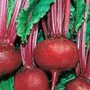 Beets, Detroit Dark Red, Heirloom, 25+ Seeds, Tender and Sweet, Deep Red, Country Creek Acres view 1