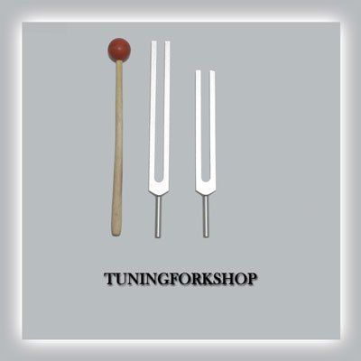 TFS Tuningforkshop D & A Tuning Fork with Mallet+Pouch