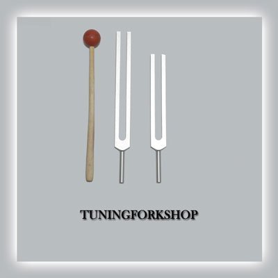 TFS Tuningforkshop D & A Tuning Fork with Mallet+Pouch