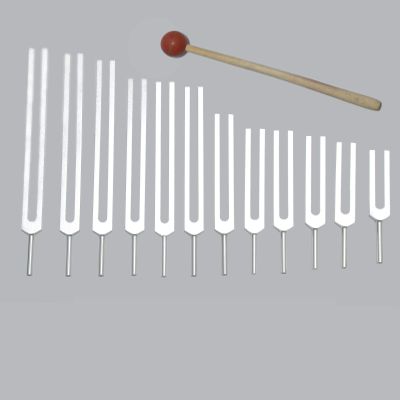 TFS Tuningforkshop 12 Pc Kabbalah Tuning Fork for Healing with Mallet & Pouch