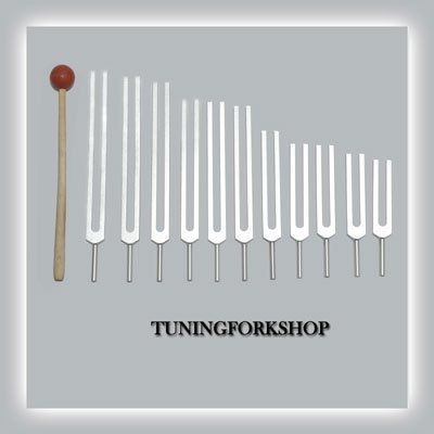 TFS Tuningforkshop 12 Pc Mineral Tuning Fork for Healing with Mallet+Pouch