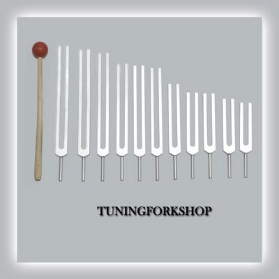 TFS Tuningforkshop 12 Pc Mineral Tuning Fork for Healing with Mallet+Pouch
