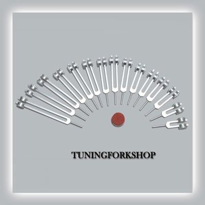 TFS Tuningforkshop 15 Pc Human Organ Weighted Tuning Fork Set for Healing with Activator,Pouch