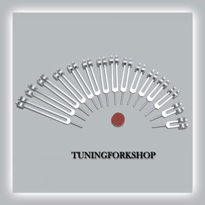 TFS Tuningforkshop 15 Pc Human Organ Weighted Tuning Fork Set for Healing with Activator,Pouch