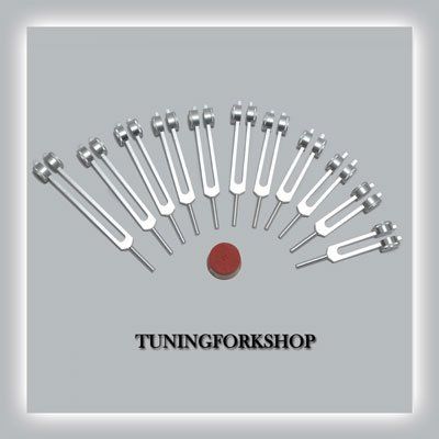 TFS Tuningforkshop 12 Pc Mineral Weighted Tuning Fork Set for Healing with Activator,Pouch