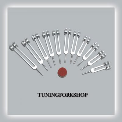 TFS Tuningforkshop 12 Pc Mineral Weighted Tuning Fork Set for Healing with Activator,Pouch