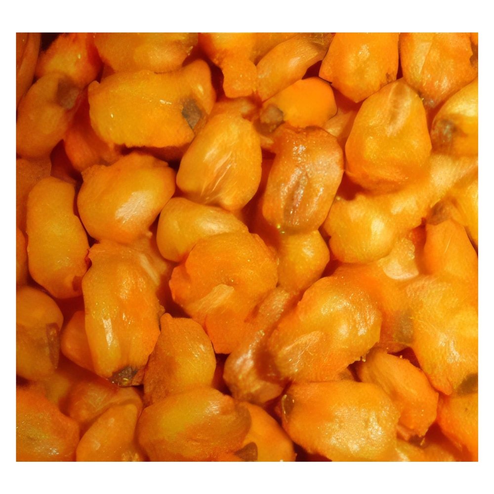 Snacks (Cheddar Toasted Corn Nuts Nuggets, 2 LB)