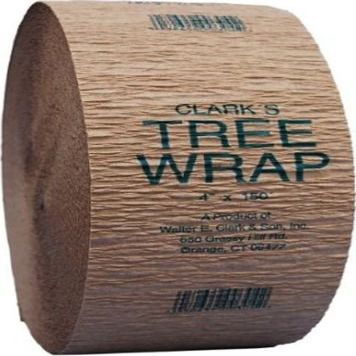 Tree Wrap Display