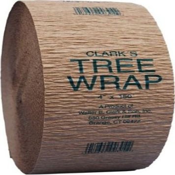 Tree Wrap Display