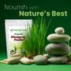 Z Natural Foods Organic Wheatgrass Powder, Green Superfood Powder for Smoothies, Juices, Shakes, and Recipes, Nutrient-Rich Powder, 100% Pure, Raw, Non-GMO, Vegan, Gluten-Free, 87 Servings, 1 lb view 3