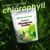 Z Natural Foods Organic Wheatgrass Powder, Green Superfood Powder for Smoothies, Juices, Shakes, and Recipes, Nutrient-Rich Powder, 100% Pure, Raw, Non-GMO, Vegan, Gluten-Free, 87 Servings, 1 lb view 4