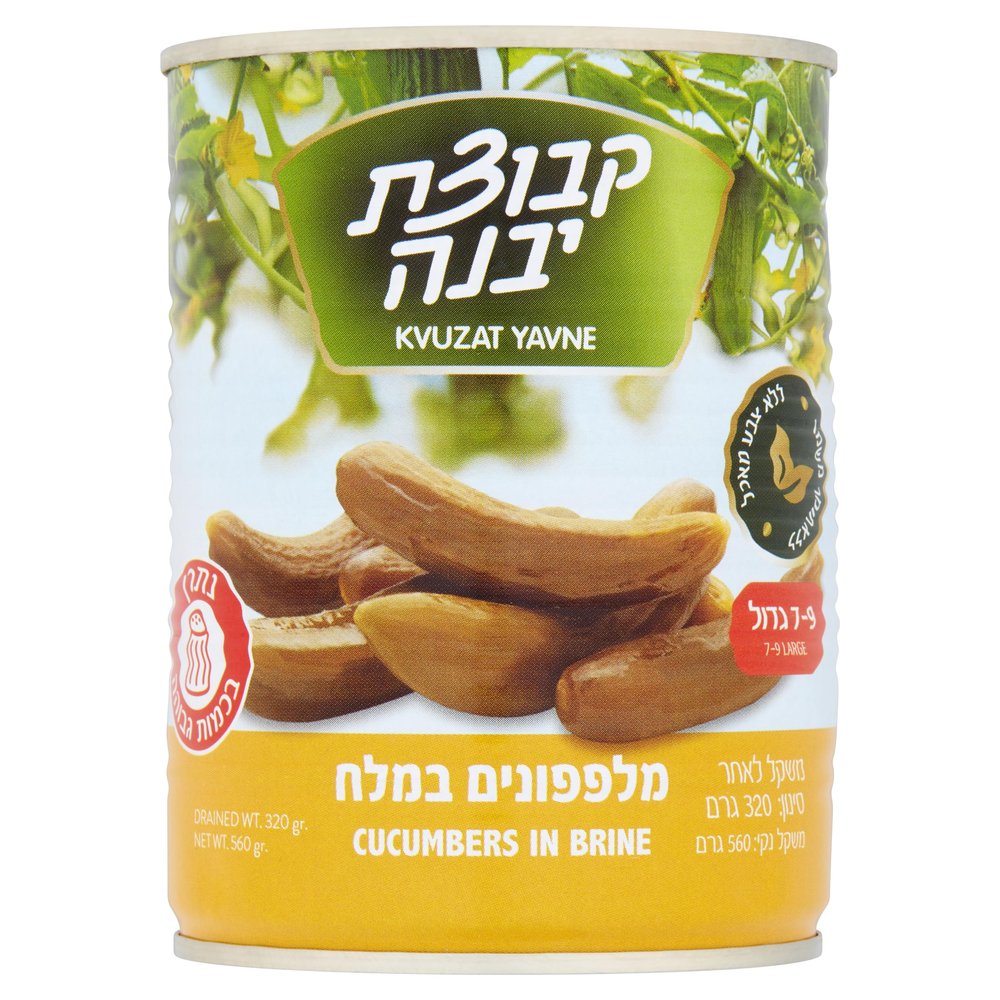 Cucumbers in Salt - Kosher Pickled Cucumbers, Pickled Gherkins Kvuzat Yavne, Extra 20%