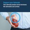 Advanced Bionutritionals Advanced Adrenal Factor  Adrenal Support Supplement  Non-GMO, Gluten-Free, Vegan  120 Tablets view 3