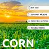 25 lb Whole Kernel Yellow Corn view 2