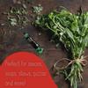 Amore Vegan Fresh Herb Paste In A Tube - Non GMO Certified And Made In Italy (Pack of 12) view 3
