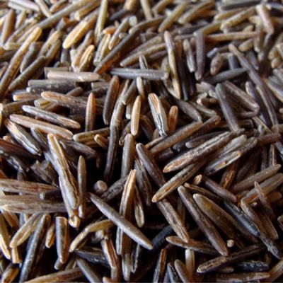 BINESHII'S FAMOUS CHEFS RESERVE WILD RICE A RICH COFFEE COLOR WITH A VIBRANT TASTE ALL IT'S OWN.