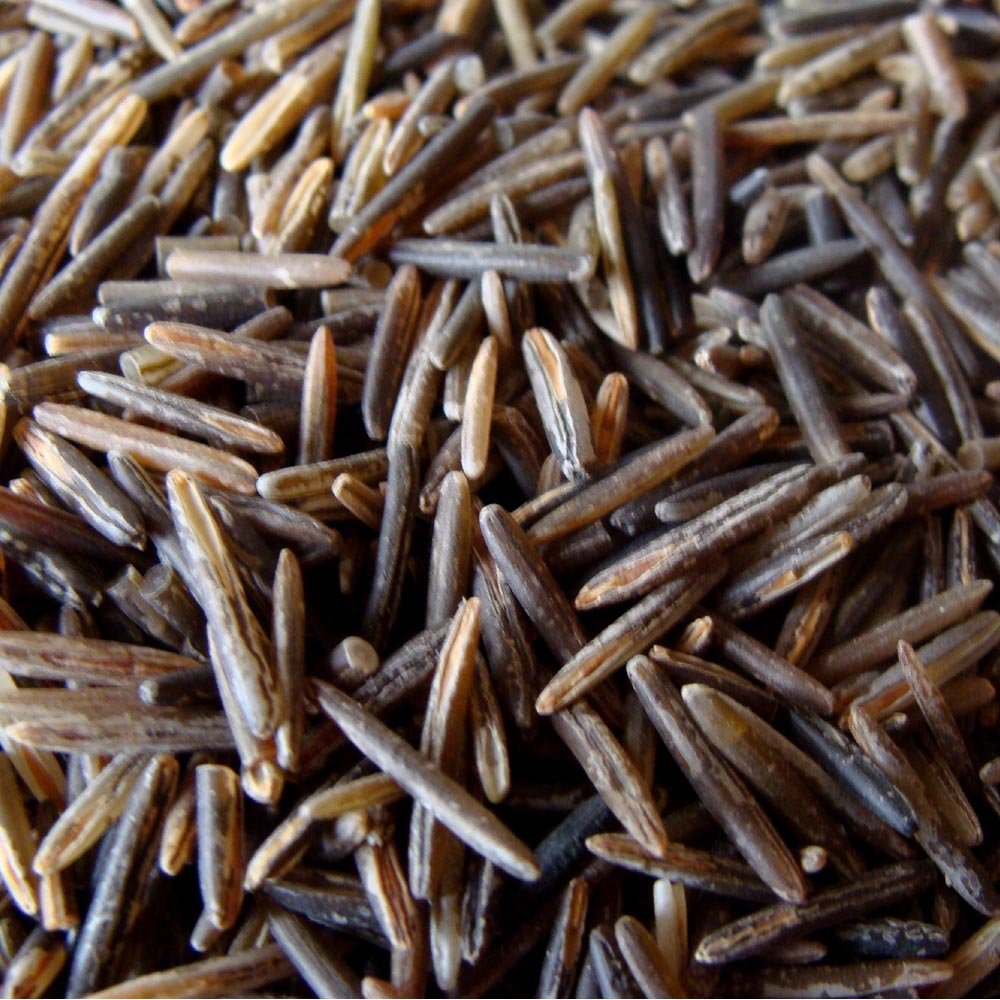 BINESHII'S FAMOUS CHEFS RESERVE WILD RICE A RICH COFFEE COLOR WITH A VIBRANT TASTE ALL IT'S OWN.
