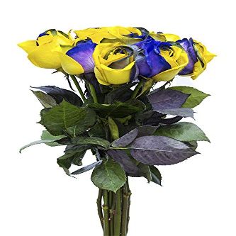 12 Stems - Fresh Cut Yellow & Purple Roses from Flower Explosion