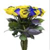 12 Stems - Fresh Cut Yellow & Purple Roses from Flower Explosion view 1