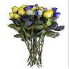 12 Stems - Fresh Cut Yellow & Purple Roses from Flower Explosion view 3