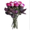 12 Stems - Fresh Cut "Cotton Candy" Tinted Roses from Flower Explosion view 3