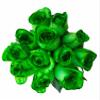 12 Stems - Fresh Cut Tinted Green Roses from Flower Explosion view 1