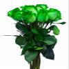 12 Stems - Fresh Cut Tinted Green Roses from Flower Explosion view 2