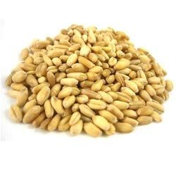 Giusto's - Organic Soft Wheat Berries, 25lbs