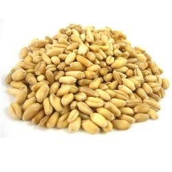 Giusto's - Organic Soft Wheat Berries, 25lbs