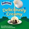Ambrosia Devon Custard, Creamy & Delicious Ready-to-Eat Dessert, Traditional British Favourite, 500 g Carton (Pack of 1) view 4