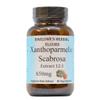 Barlowe's Herbal Elixirs Xanthoparmelia Scabrosa | 12:1 Extract | 650mg Per Capsule | Exercise & Wellness Support | 60 Veggie Capsules | Stearate-Free, Additive-Free, Glass Bottled view 1