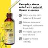 Bach RESCUE REMEDY Dropper 20mL, Natural Stress Relief, Homeopathic Flower Essence, Vegan, Gluten & Sugar-Free, Non-Habit Forming view 4