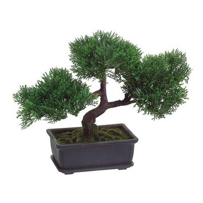 Bonsai Boy Artificial Japanese Cedar Bonsai Tree
