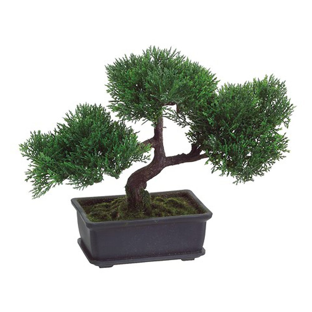 Bonsai Boy Artificial Japanese Cedar Bonsai Tree