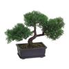 Bonsai Boy Artificial Japanese Cedar Bonsai Tree view 1