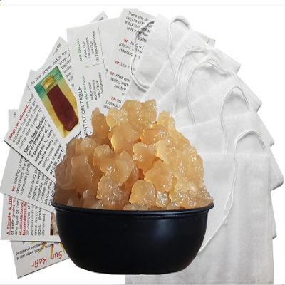TWO LARGE Portion Cups of Original Water Kefir Grains Exclusively from Florida Sun Kefir
