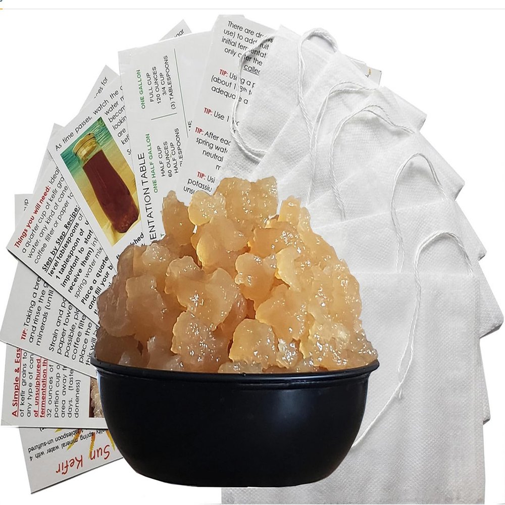 TWO LARGE Portion Cups of Original Water Kefir Grains Exclusively from Florida Sun Kefir