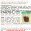 TWO LARGE Portion Cups of Original Water Kefir Grains Exclusively from Florida Sun Kefir view 4
