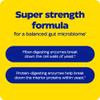 Enzymedica, Candidase Extra Strength, Support for Balanced Yeast Levels, 42 Capsules view 4