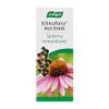 A.Vogel Echinaforce Hot Drink 100Ml. by A Vogel view 2