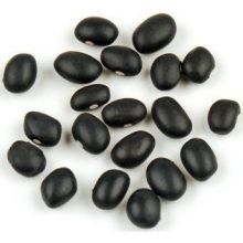Beans Black Turtle 25-Pound