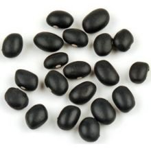 Beans Black Turtle 25-Pound