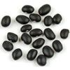 Beans Black Turtle 25-Pound view 1