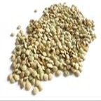 Bulk Beans Beans Green Lentil Organic 25-Pound