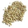 Bulk Beans Beans Green Lentil Organic 25-Pound view 1