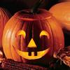 50 Jack O'Lantern Pumpkin Seeds view 1
