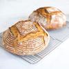 Jovial Organic Einkorn Unbleached All Purpose Flour - Bread Baking Flour for Sourdough, High Protein, Non-GMO, Organic Pizza & Pasta, European Italian, Glyphosate Free - 32 Oz, 3 Pack view 4