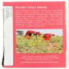 Traditional Medicinals Organic Mother's Milk, 16-Count Boxes, .99 Ounce (Pack of 6) by Traditional Medicinals [Foods] view 3