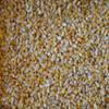 15 Lbs Iowa Country Corn 2017 crop view 2